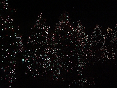 010 Toledo Zoo Light Show [2008 Dec 27]